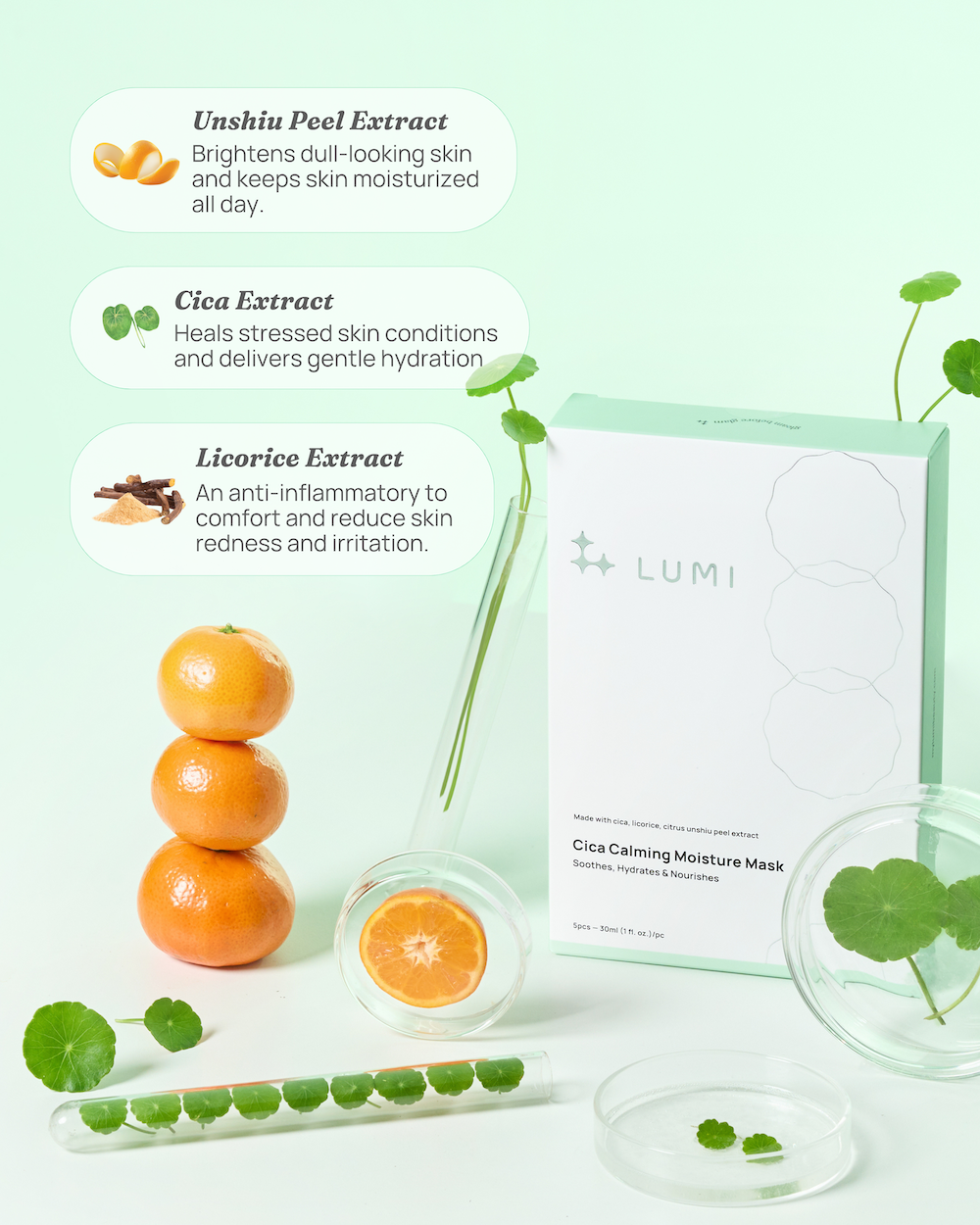 Balance & Calm Bundle