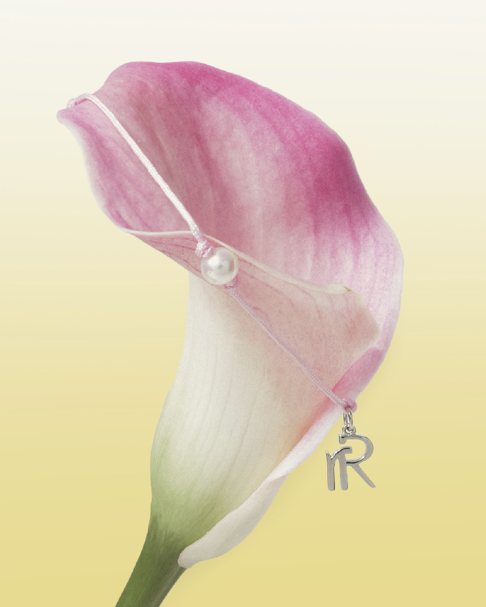 Bound By Love Bundle